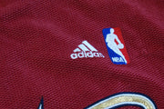 Veste basket rétro Timberwolves Minnesota The West NBA