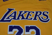 Maillot NBA vintage Lakers Los Angeles #23 James